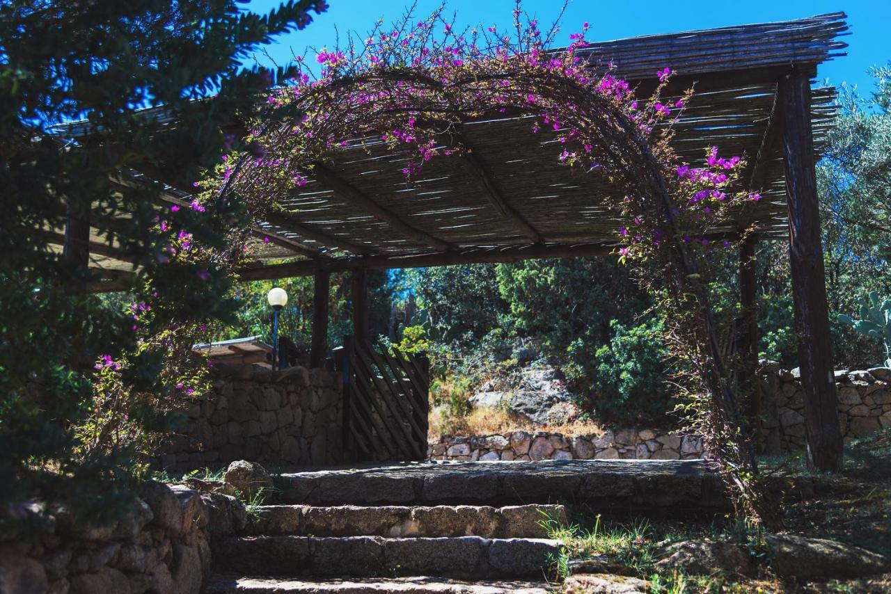 Domus Liscia Di Vacca Aparthotel ภายนอก รูปภาพ
